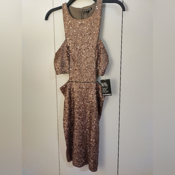 Express Shimmery Sequin Dress NWT - Picture 3 of 10